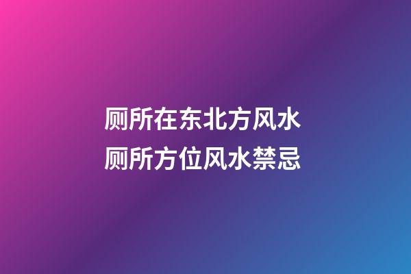 厕所在东北方风水 厕所方位风水禁忌